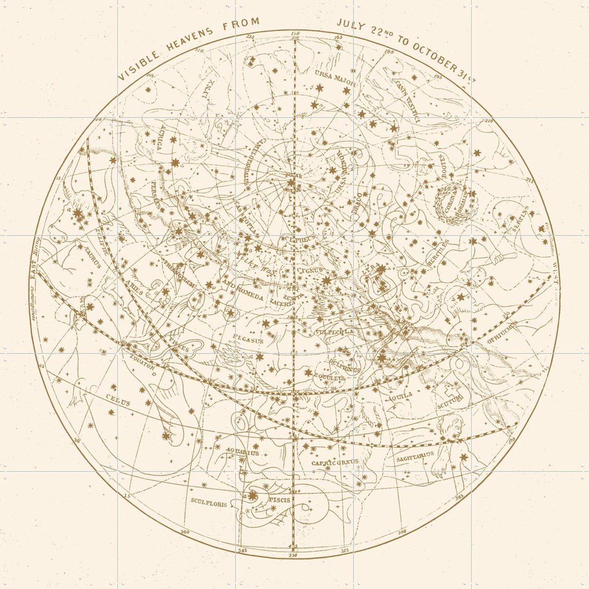 IXXI Visible Heavens Gold, Aster Edition - 100 x 100 cm - Gratis ophangtool - Grote wanddecoratie en posters - Illustraties, Technische Tekening