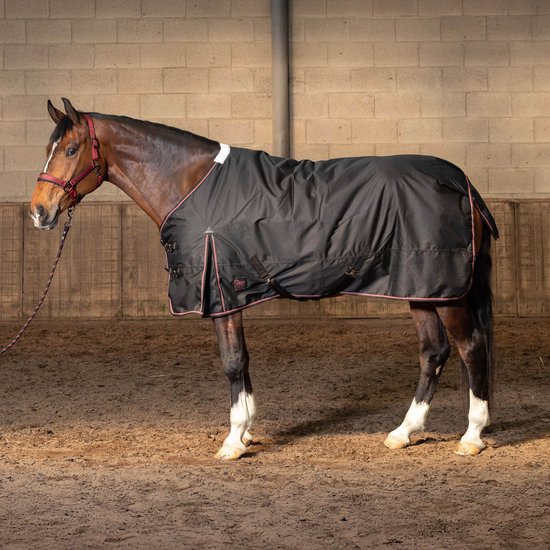 Couverture de pluie Thor 200 WI25 de Harry's Horse