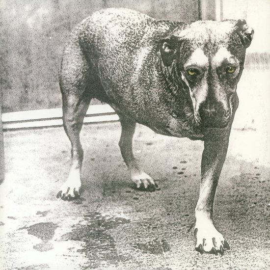 Alice in Chains (30th Anniversary)