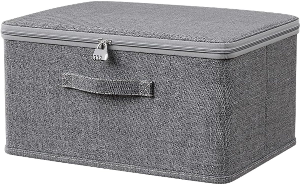 Afsluitbare Box met Deksel voor Koelkast of Medicijnen - 40x30x21 cm