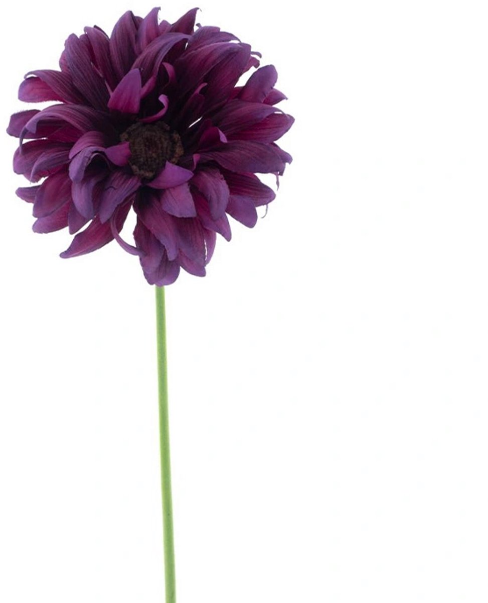 Erutan avon - Gerbera spray Lotte purple 76 cm