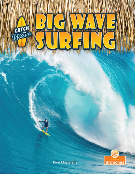 Catch the Wave - Big Wave Surfing