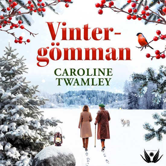 Vintergömman - cover