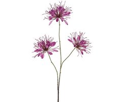 Countryfield Bloem Lycoris S Lila - Zijdebloem
