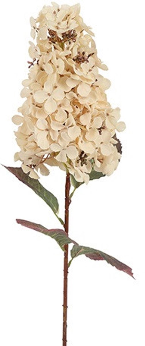 Countryfield Hydrangea Aletta Paniculata Wit - Zijdebloem