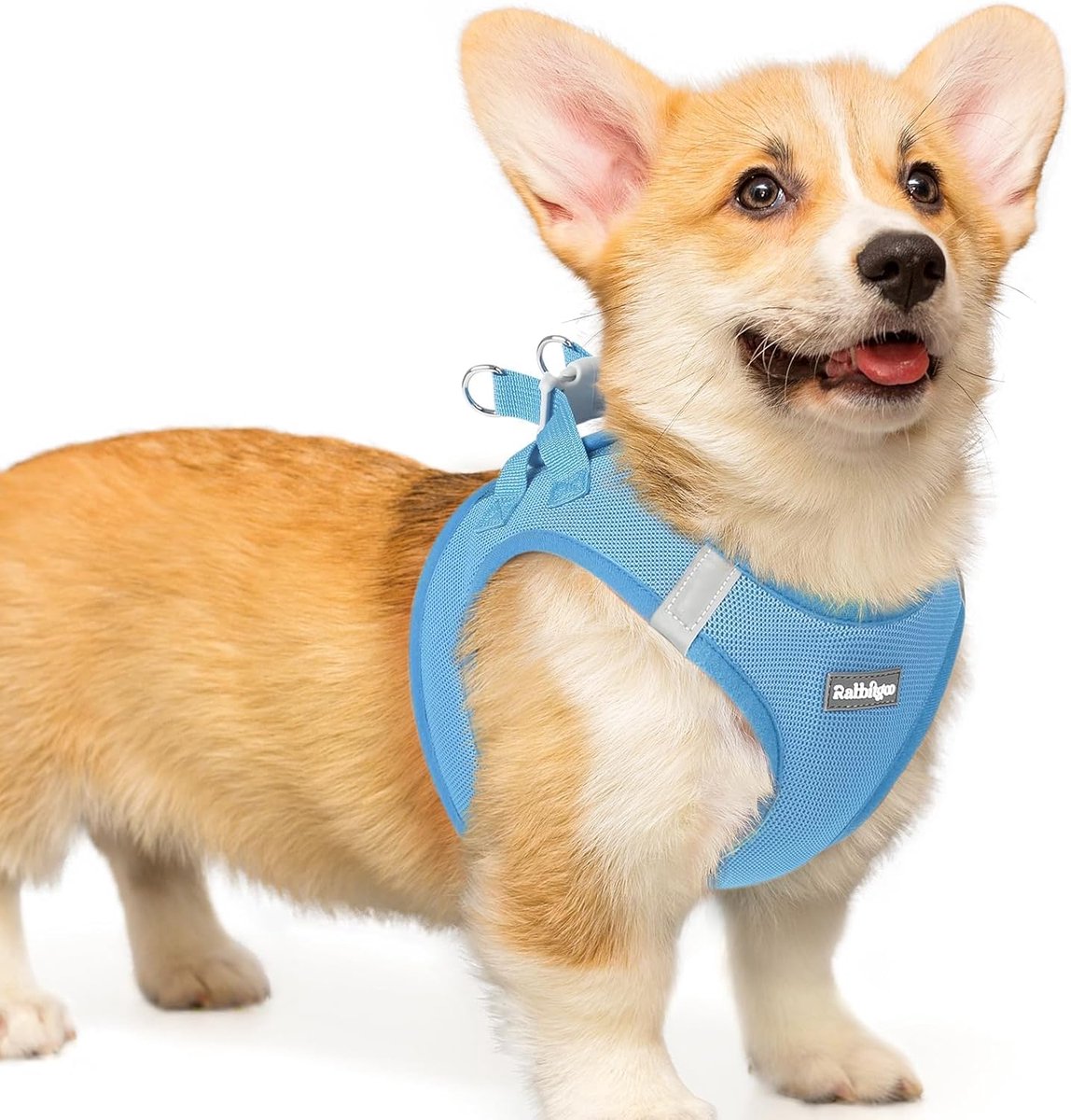 Honden Harnas - Puppy Tuigje - Veilig Wandelen - Verstelbaar Comfort - Maat L - Babyblauw