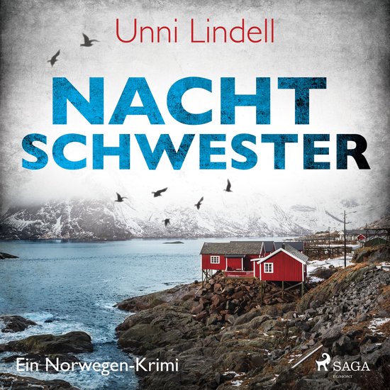 Nachtschwester – Ein Norwegen–Krimi - cover