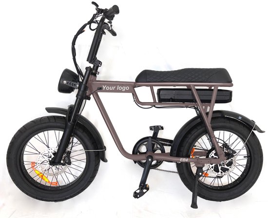 Fatbike 20 inch elektrische fiets 250W motor 80 km actieradius 7 versnellingen hydraulische schijfremmen