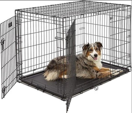 Zwarte hondenbench met open deur en een australische herder erin.