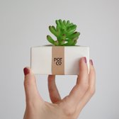 Triangular* plant pot