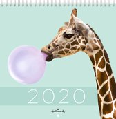 Paul Fuentes Kalender 2020