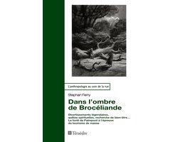 Dans l'ombre de Brocéliande