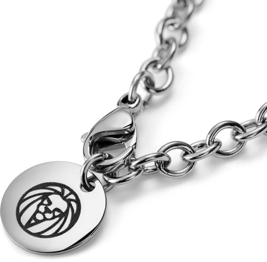 Zilverkleurige schakelketting met een ronde bedel met een leeuwenhoofd.