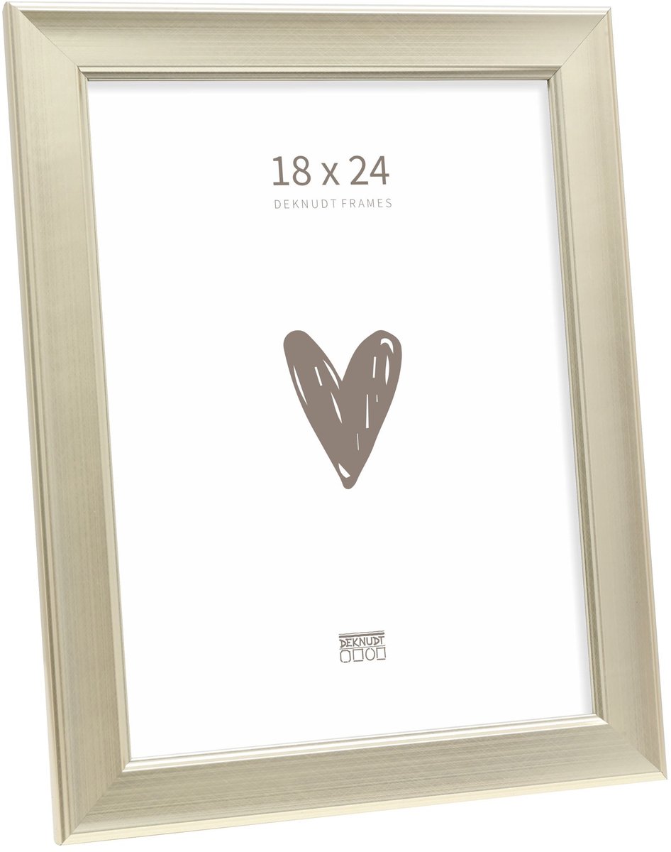 Deknudt Frames fotolijst S244D1 - zilverkleur - voor foto 18x24 cm