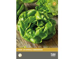 Botersla Meikoningin Zaden – Kropsla – Lactuca sativa – Groentezaden voor Moestuin, Kas & Verhoogde Bak