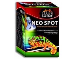 Spotlamp 100 Watt voor Terrarium