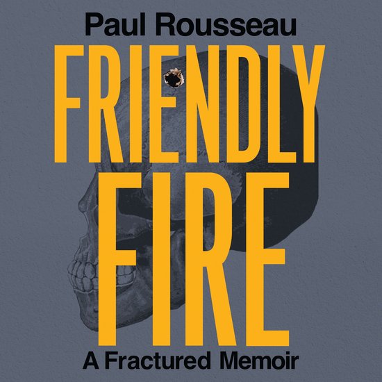 Friendly Fire - cover