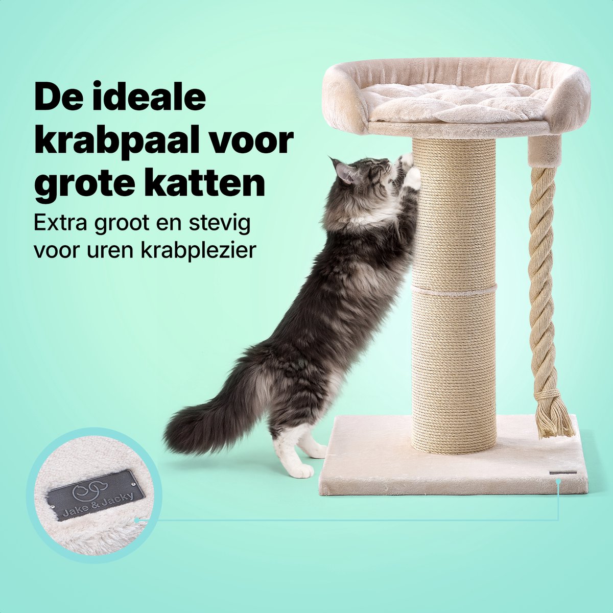Jake Jake and Jacky Krabpaal - afbeelding 2