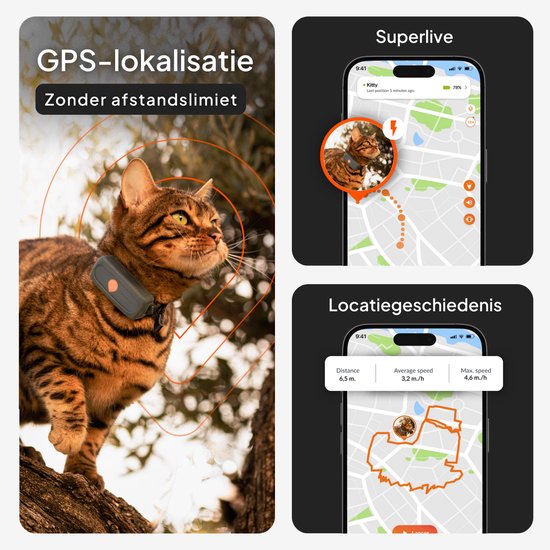 Bengalen kat met oranje halsbandje in de natuur. GPS-lokalisatie zonder afstandslimiet. Telefoon met kaart en katten tracker. Locatiegeschiedenis.
