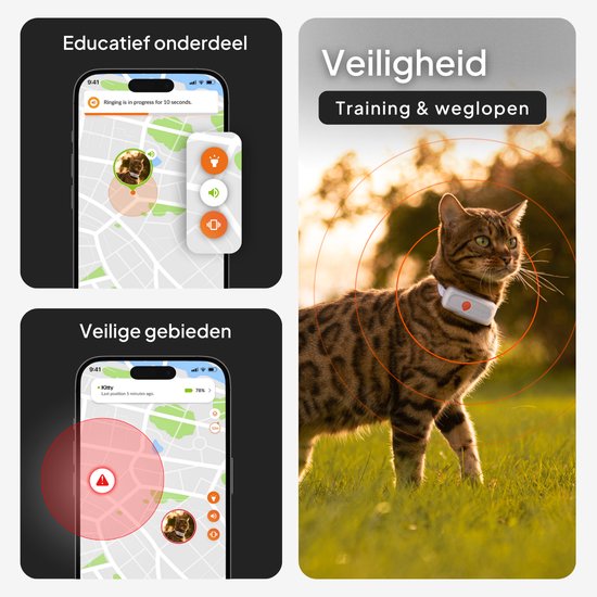 Bruine kat met GPS tracker halsband in de zon. Educatief onderdeel: ringtone voor 10 seconden. Veilige gebieden: rood gebied op de kaart.