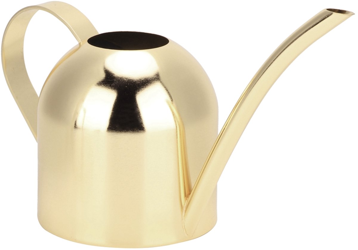 Moderne RVS Gieter (500 ml) Met Lange Tuit - Gouden Design Voor Binnen- En Buitenplanten - Precisie Watergift Voor Kamerplanten En Kruiden - Roestvrij En Lekvrij Systeem