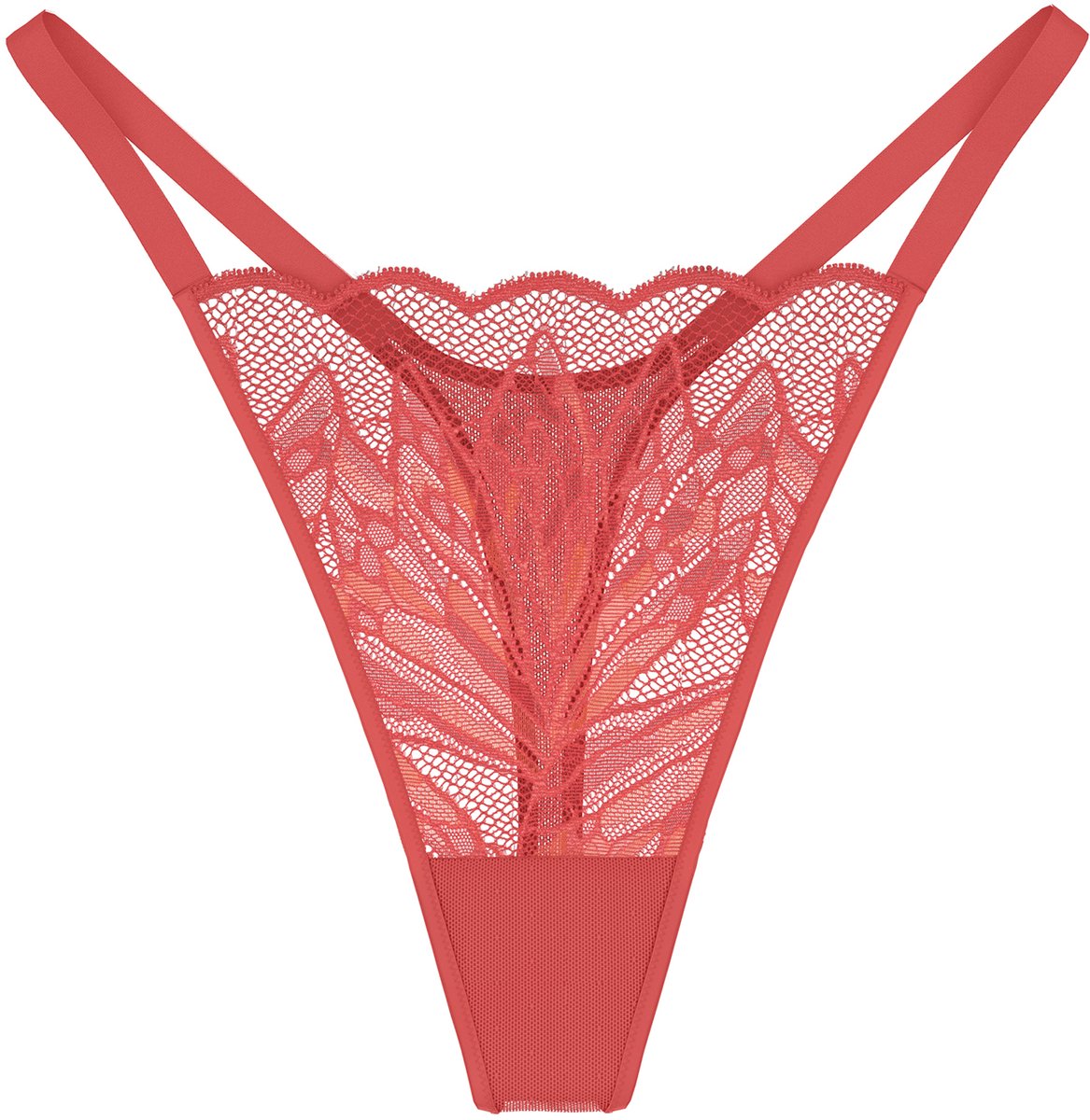 Triumph String Red Label Crazy Stupid Love