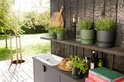 Olijfgroene en terracotta potten met planten op een houten plank, naast een aanrecht.