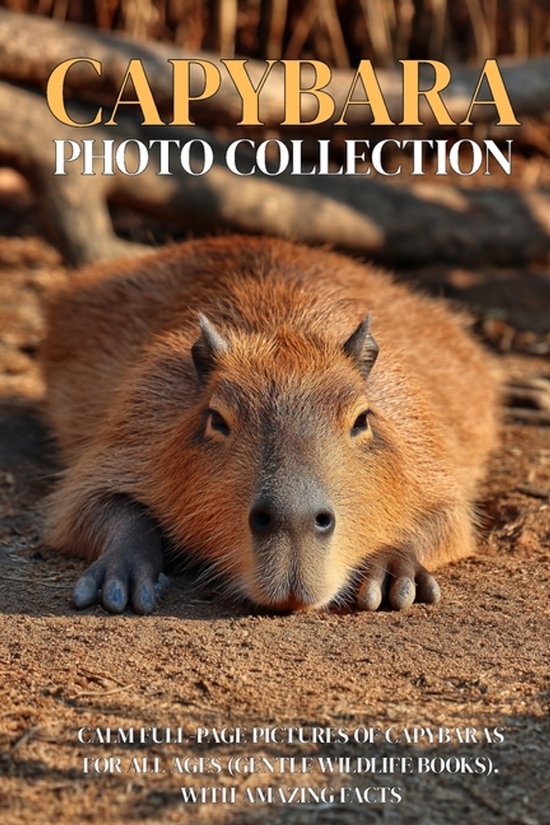 Capybara Photo Collection: Calm Full-Page Pictures of Capybaras for All ...
