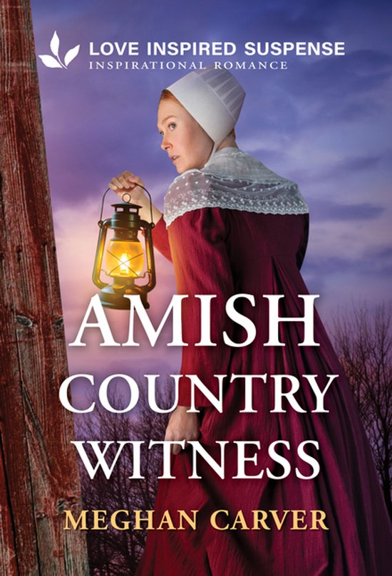 Plain Secrets- Amish Country Witness - cover