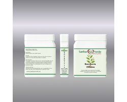 Sanitas Verde Boerhavia Diffusa Extract 10:1 Punarnava Lever Nieren Detox 90 Vegan Capsules