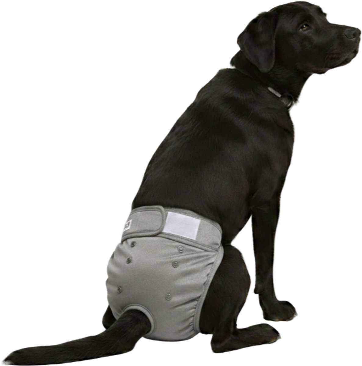 Loopsheidbroekje Hond - XL - Hondenluier - Grijs - Wasbaar