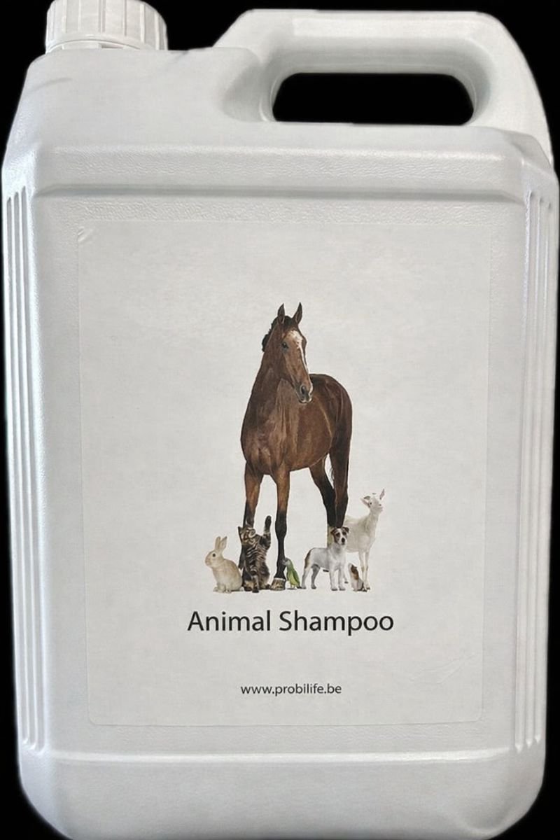 Probiotische dieren shampoo- paarden shampoo voor een zuivere vacht en haar