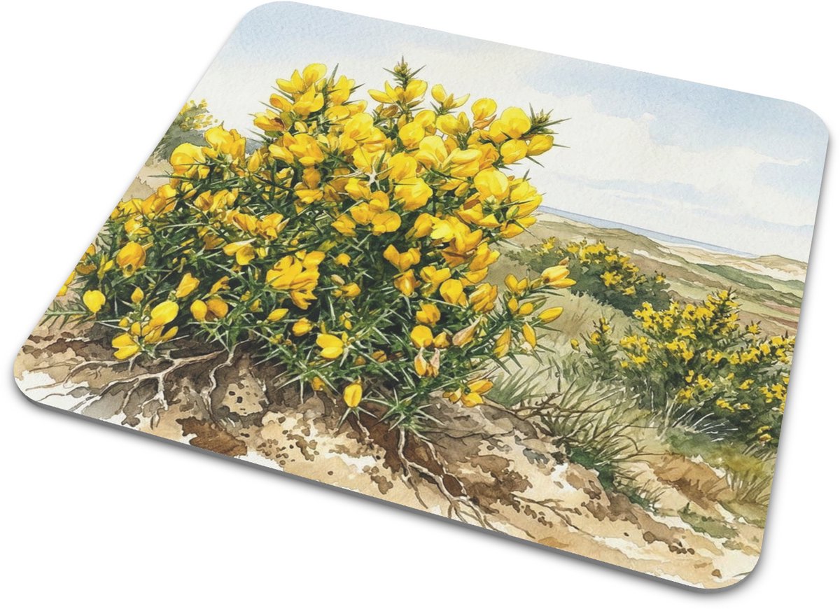 Muismat Gaspeldoorn Ulex Europaeus - Aquarel Series - Gele Bloemen Duinlandschap Kust Zee Botanische Print Kantoor Thuiswerkplek Accessoires Cadeau voor haar: Vrouw, Vriendin & Collega Bureaumat - Natuur Illustratie Computermat Flora Planten Motief
