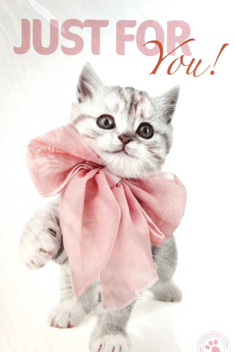 Luxe Wenskaart Liefde Zomaar - Just For You - By Myrna - Poes Kat Kitten - 14,5x21cm - Dubbele Kaart - Met Envelop - Luxe Wens Kaart - Greeting Card - 1 Stuks - In Folie Verpakt - Just For You - Gratis Verzonden