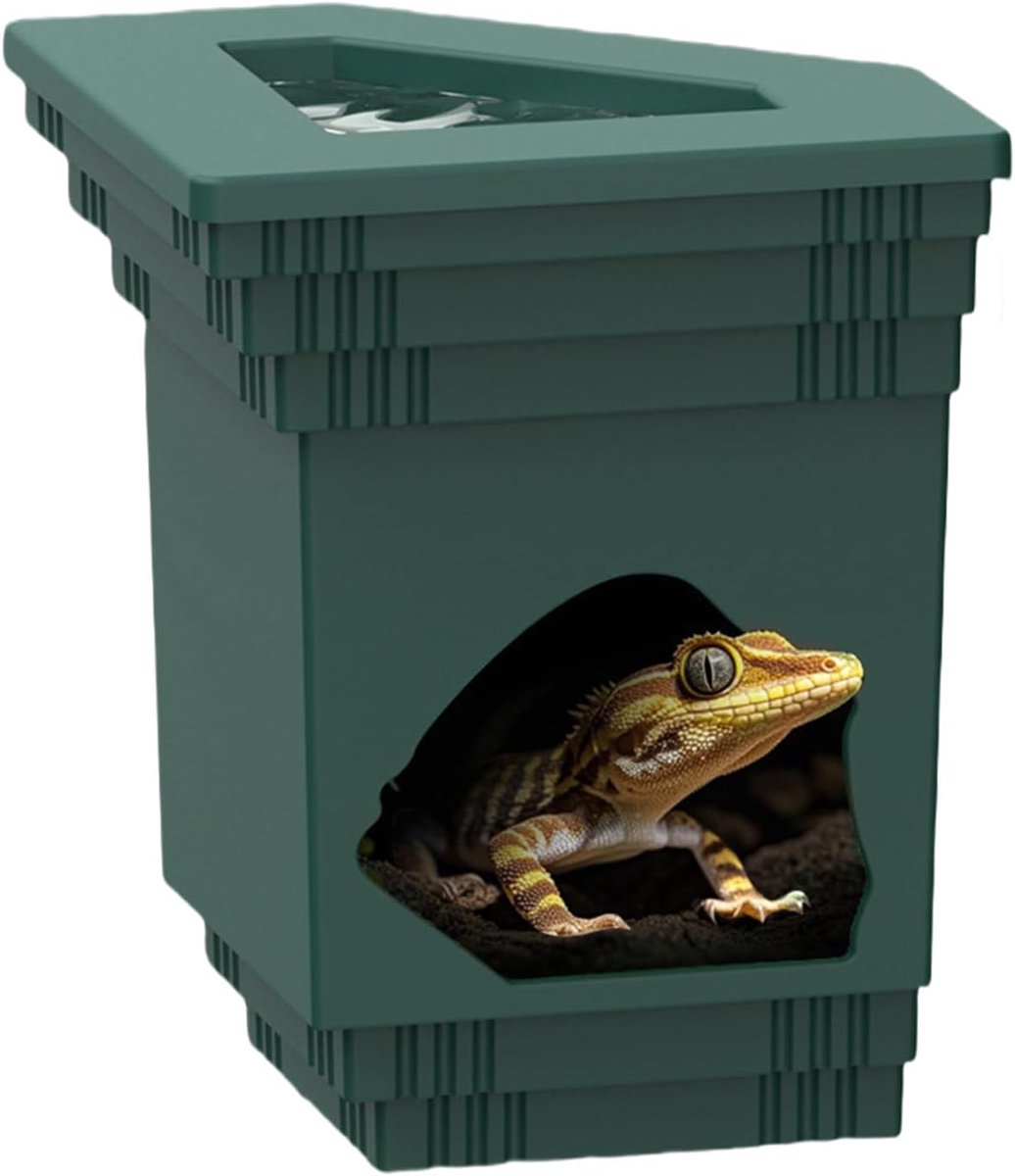 Reptielen Huis - Voedingsschaal Terrarium - Natuurlijk Habitat - 2-in-1 Ontwerp - Niet Gespecificeerd - Groen