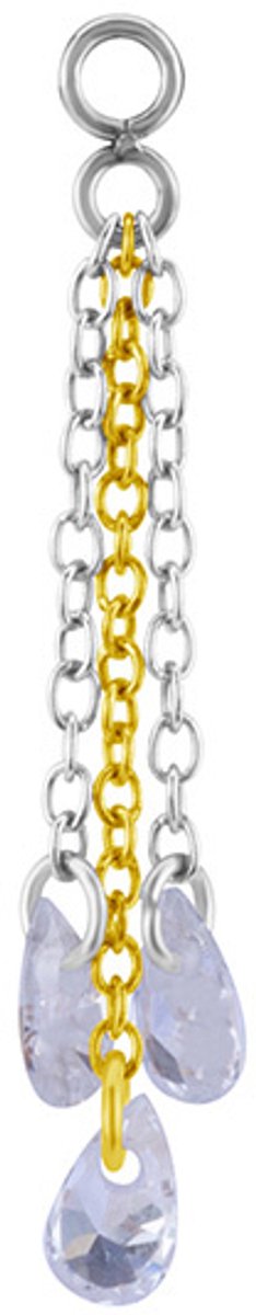 Crazy Needles Charms - Kleur Rijk - Witte Zirconia - 25 mm