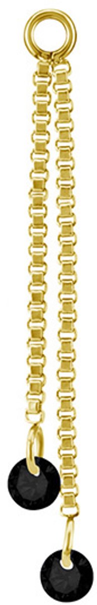 Crazy Needles - Charmsketting - Zwart Zirkoon - Goud - 10 mm