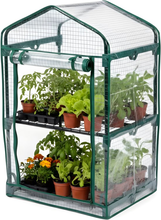 Groene kweekkas met twee etages gevuld met diverse potplanten, waaronder tomaten en kruiden.