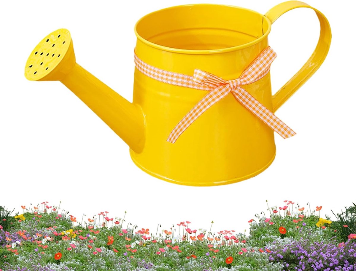 Kleine gieter - Waterkan planten - Kamerplanten verzorgen - Decoratief metalen design - 1 liter inhoud