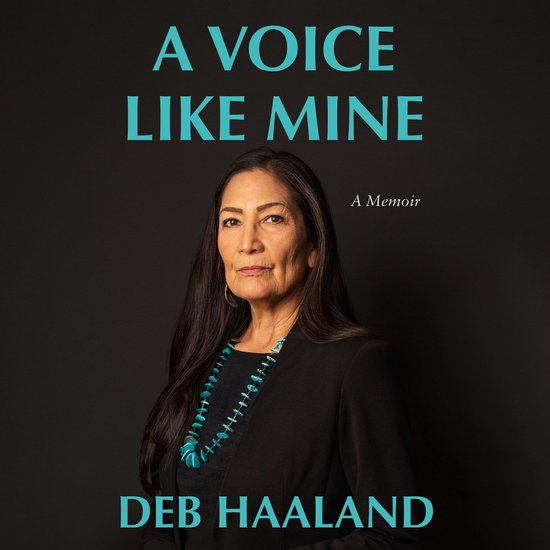 A Voice Like Mine - cover
