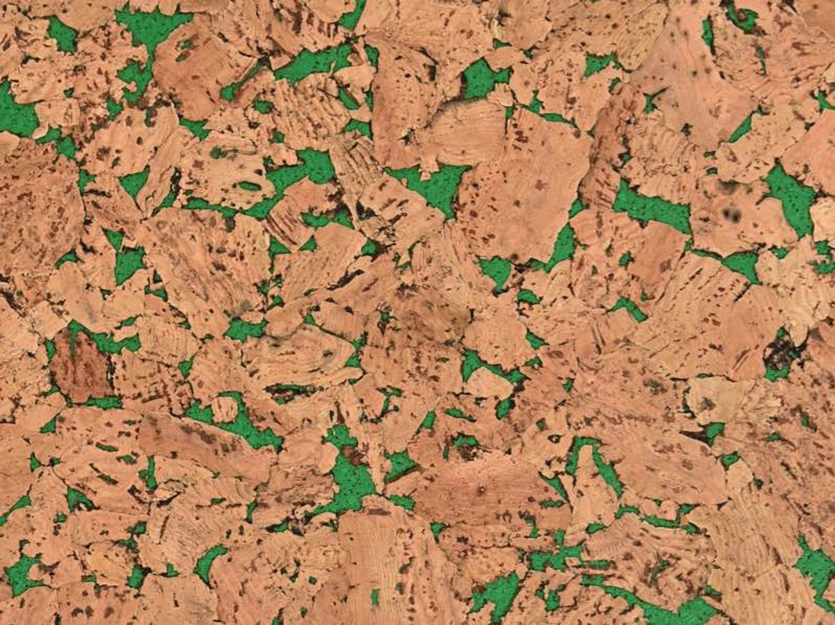 Wandkurk | Vloertegel | Chaves | Groen | tegels 30x60 cm ca. 3,5 mm dik | 11 stuks in 1 verpakking | 1.98 m² | 8 kleuren |