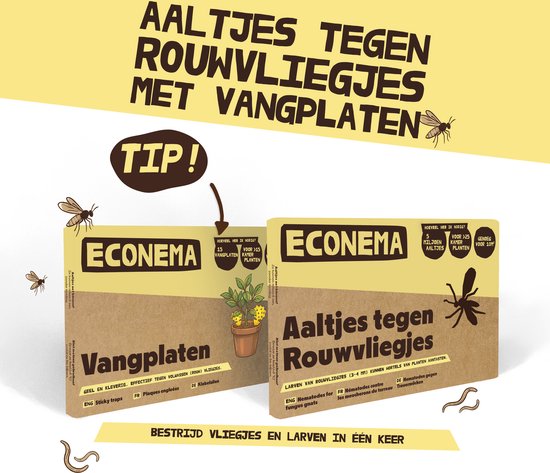 Econema Aaltjes tegen Rouwvliegjes met Vangplaten en een tip.