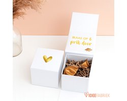 Fabrique à idées Coffret Révéler - surprise dans un ballon - anniversaire- grossesse-mariage-témoins-maître de cérémonie-cadeau