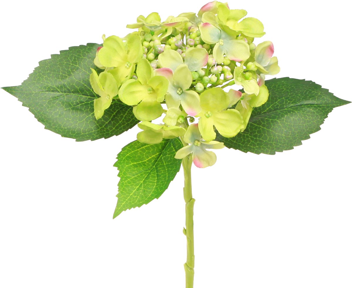 Viana Kunsthortensia's Groene Bloemen Bladeren L43cm 2st groente