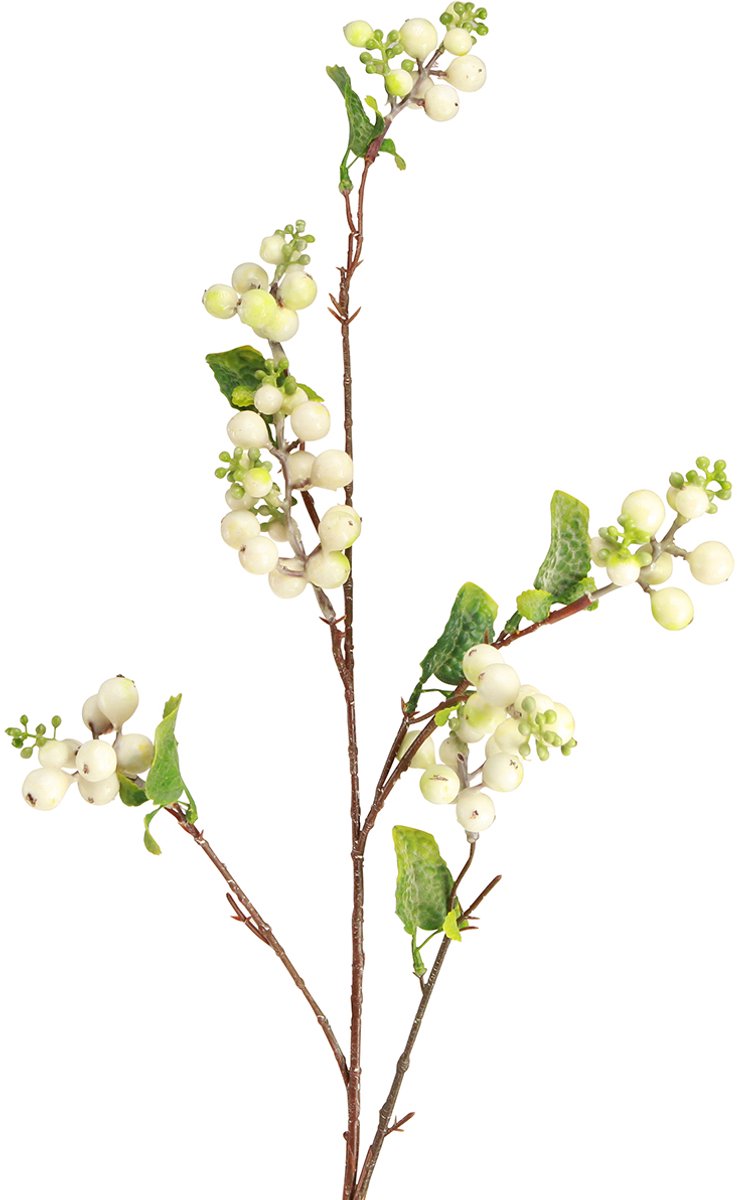Viana Kunst erwtenstruik sneeuwbes L74cm groente