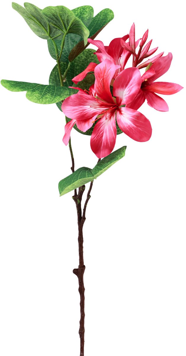 Viana Kunstorchidetak Bauhinia Roze kunstplant 62cm
