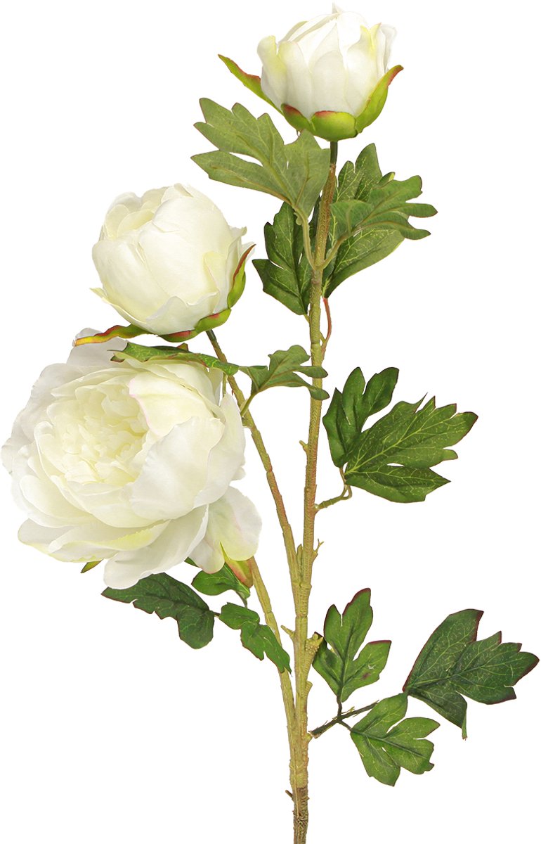 Viana Kunstpioenrozen met 3 bloemen Wit Crème 81cm 2st, 2 Stück