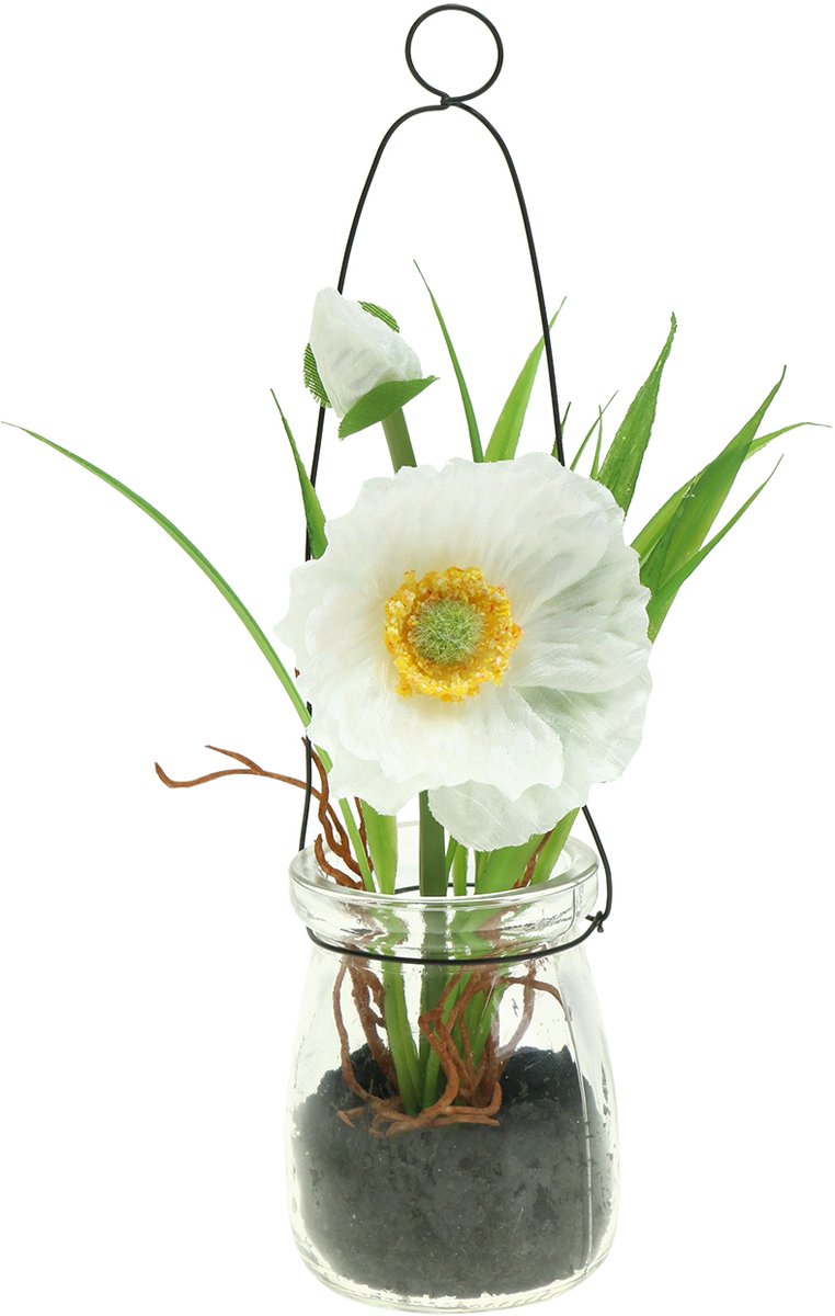 Viana Papaver in een glas om wit H22cm op te hangen