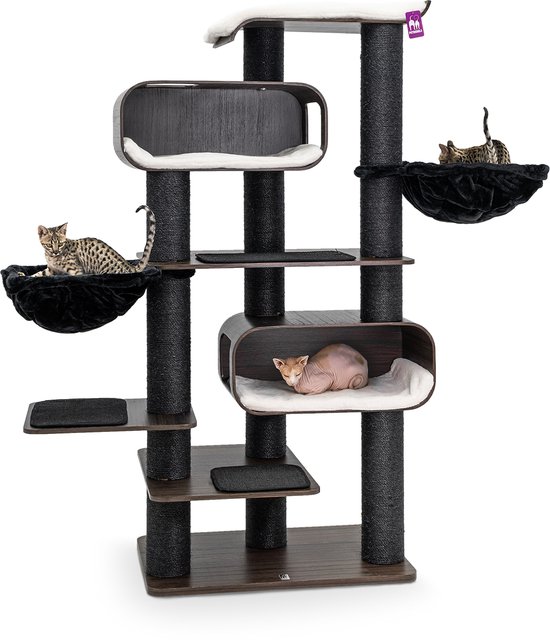 Petrebels Krabpaal Virgo 196 - Wengé