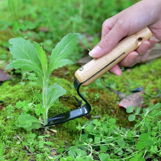 2 stuks onkruidverwijderaar met wortels, handgereedschap voor het wieden van onkruid, onkruidverwijderaar voor gazon/tuin, hoek voor eenvoudige onkruidverwijdering en dieper graven, graaft diep tot aan de wortels, roestvrij staal (zwart) van Merkloos	 — afbeelding 2